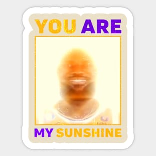 James Meme You Are My Sunshine Sticker